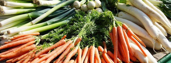 "... à l'alimentation saine."