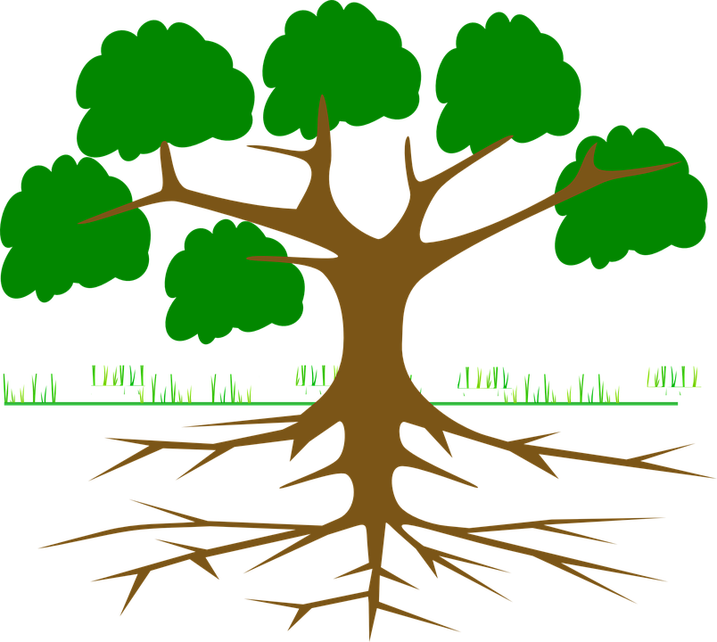 un schema d'arbre!