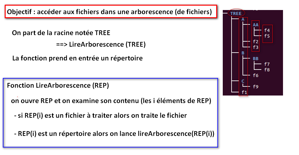 Process général arborescence