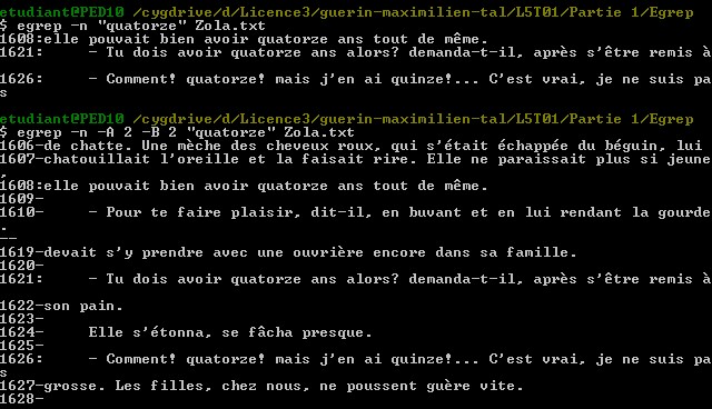 Capture d'écran