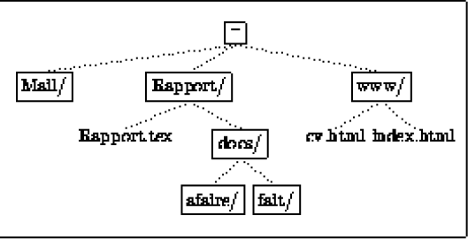 arborescence