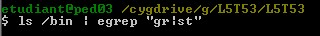 gr|st